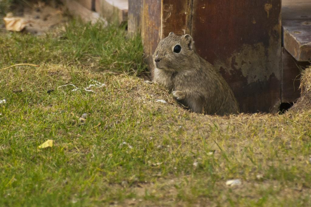 La Posada De Madryn Puerto Madryn Kültér fotó